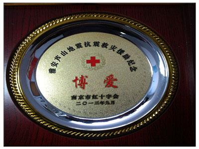 雅安抗震救灾援助纪念