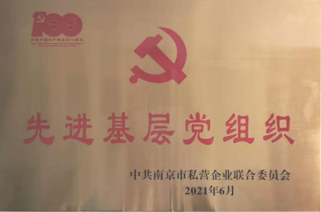 2021年先进基层党组织